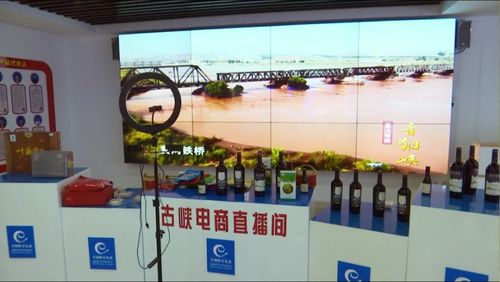 京東集團西北區總部考察青銅峽市電子商務服務，共謀區域數字經濟發展新篇章